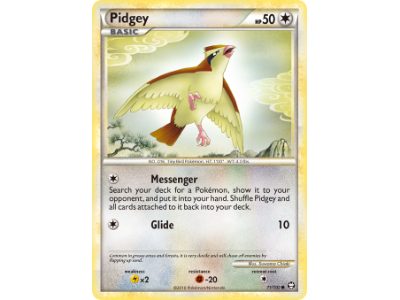Pidgey