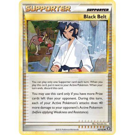 Black Belt (Reverse Holo)