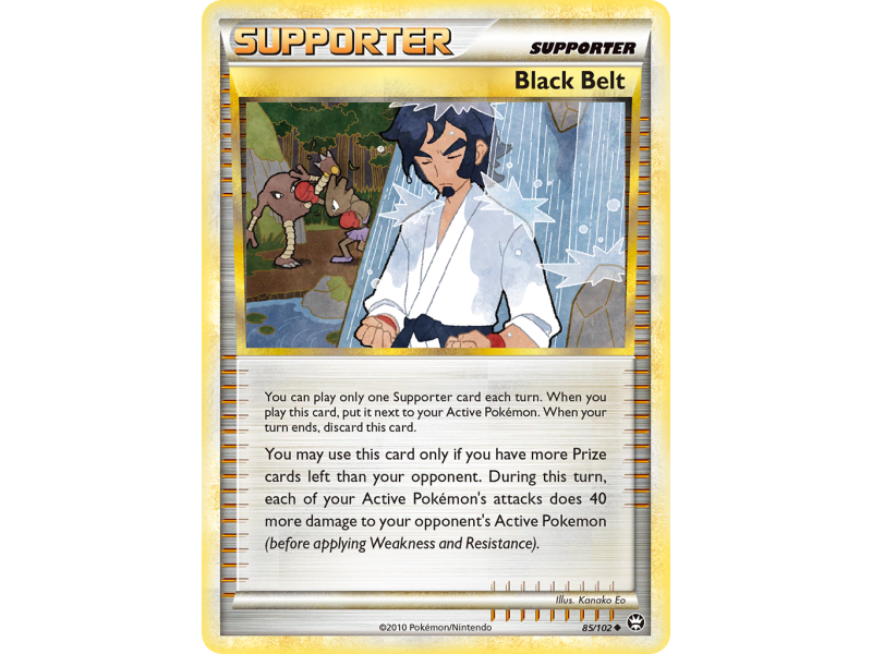 Black Belt (Reverse Holo)