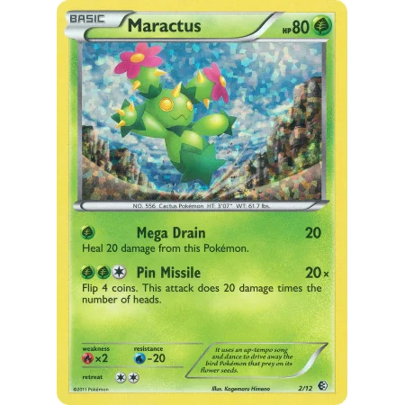 Maractus