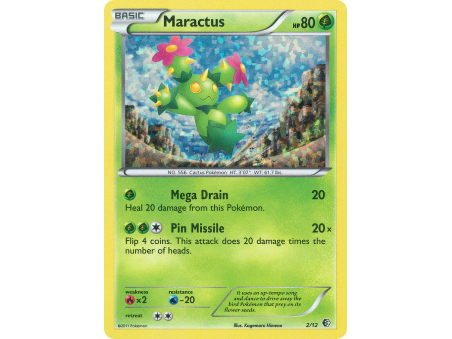 Maractus