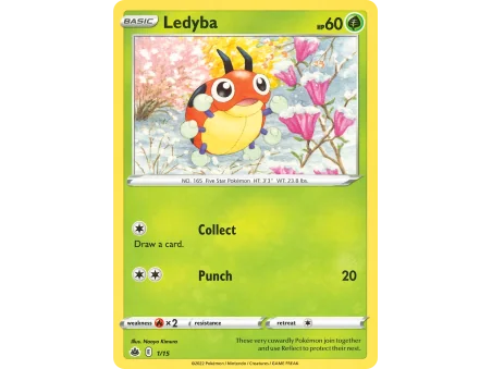Ledyba