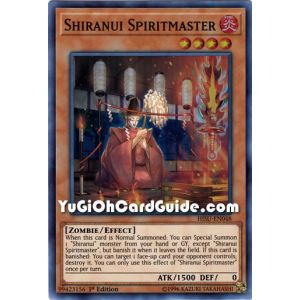 Shiranui Spiritmaster