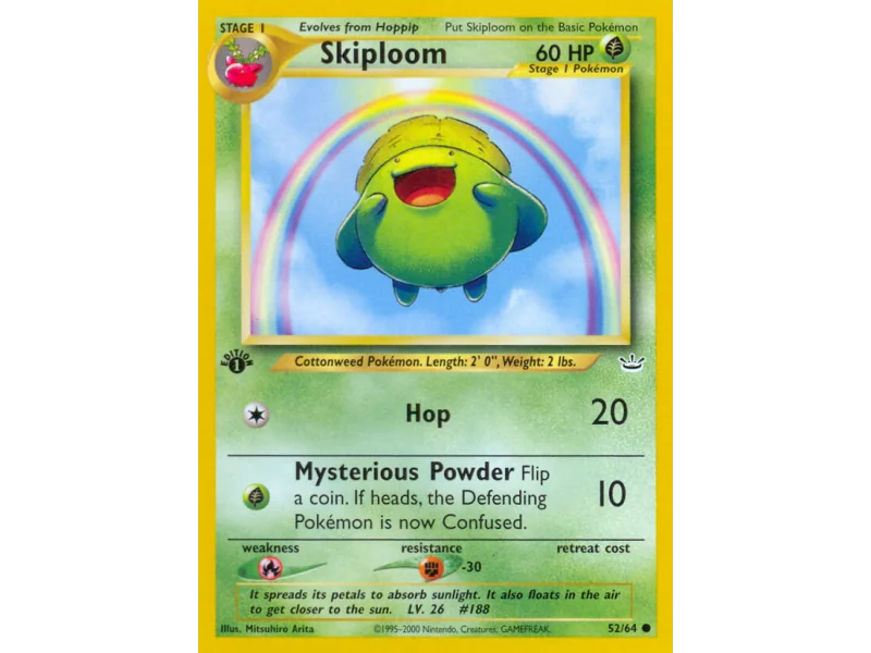 Skiploom