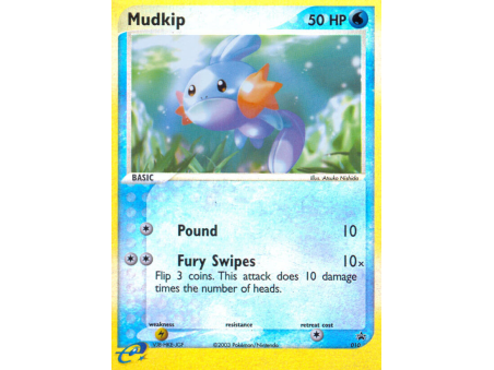 Mudkip