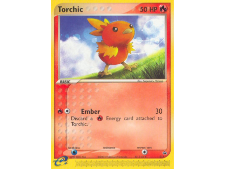 Torchic