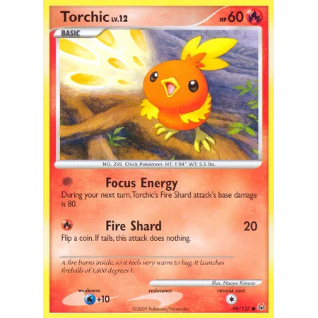 Torchic