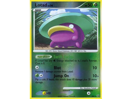 Lotad (Reverse Holo)