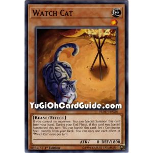 Watch Cat