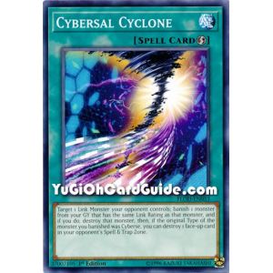 Cybersal Cyclone