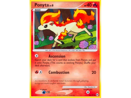 Ponyta