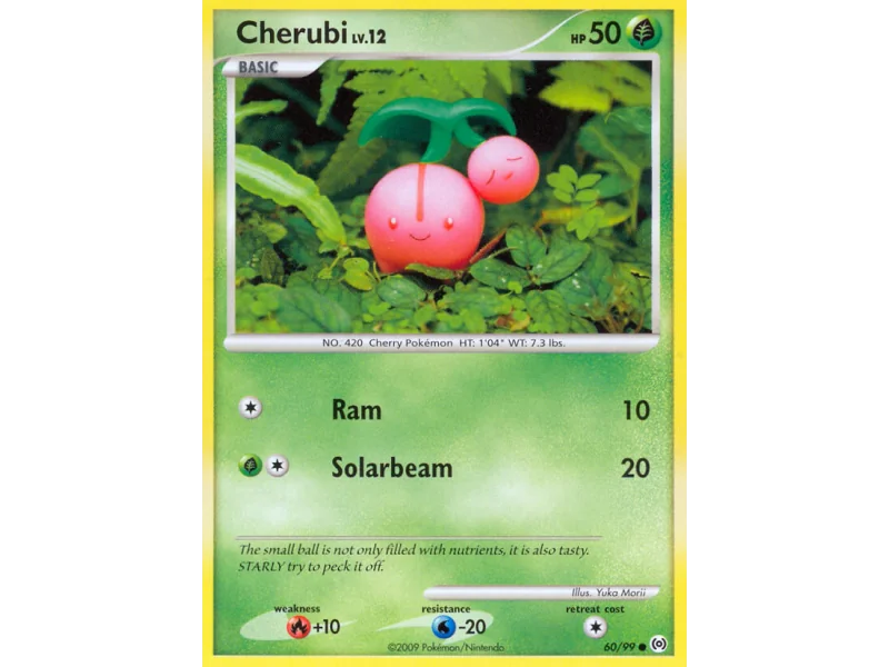 Cherubi