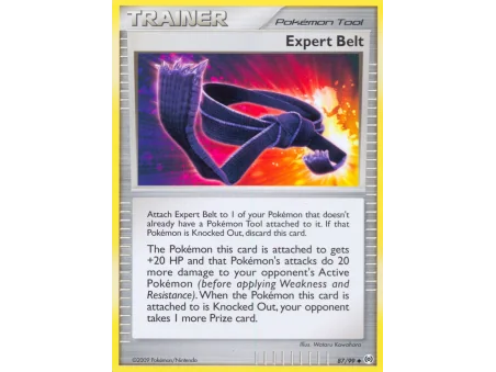 Expert Belt