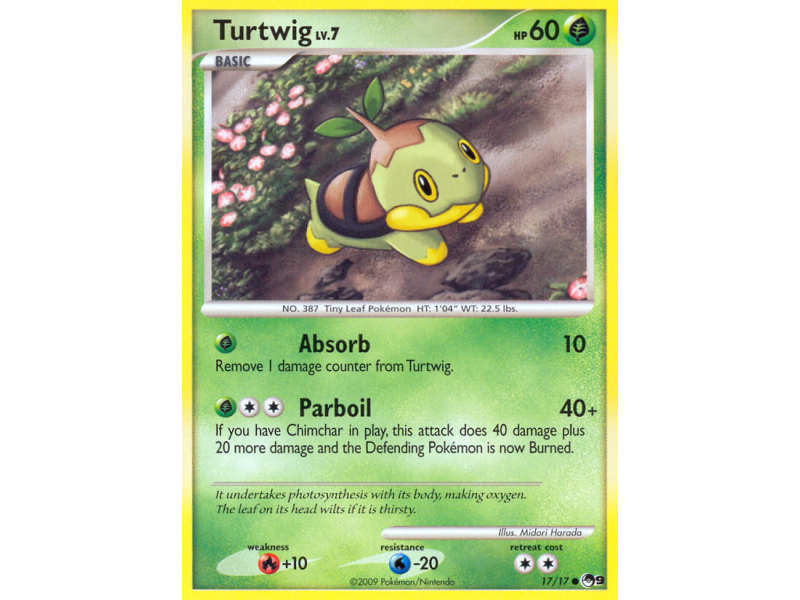 Turtwig