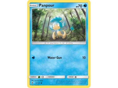 Panpour (Reverse Holo)