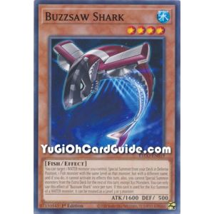 Buzzsaw Shark (Common)