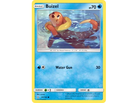 Buizel