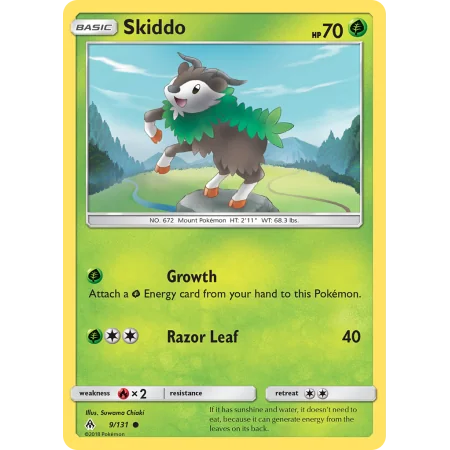 Skiddo