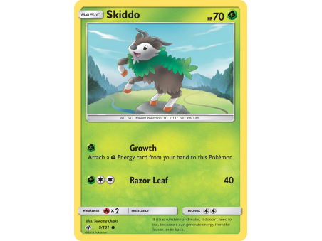 Skiddo