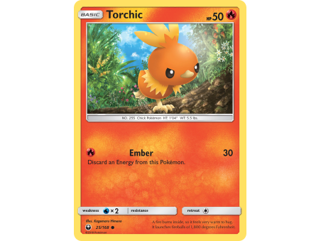 Torchic