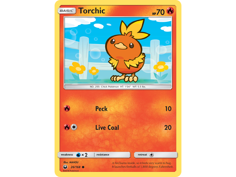 Torchic