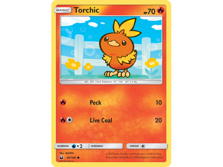 Torchic
