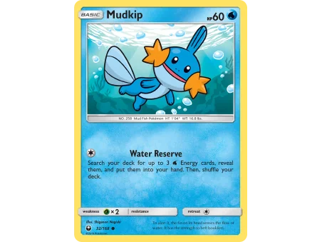 Mudkip