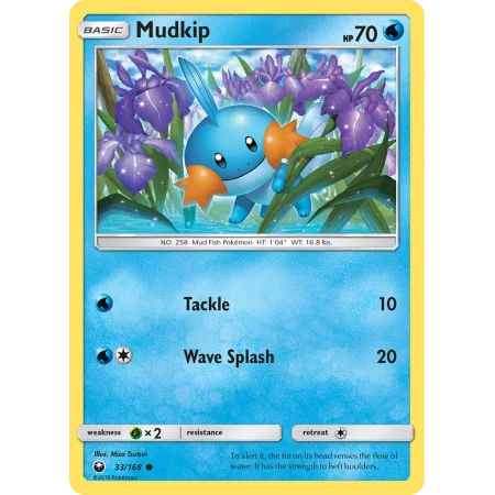 Mudkip