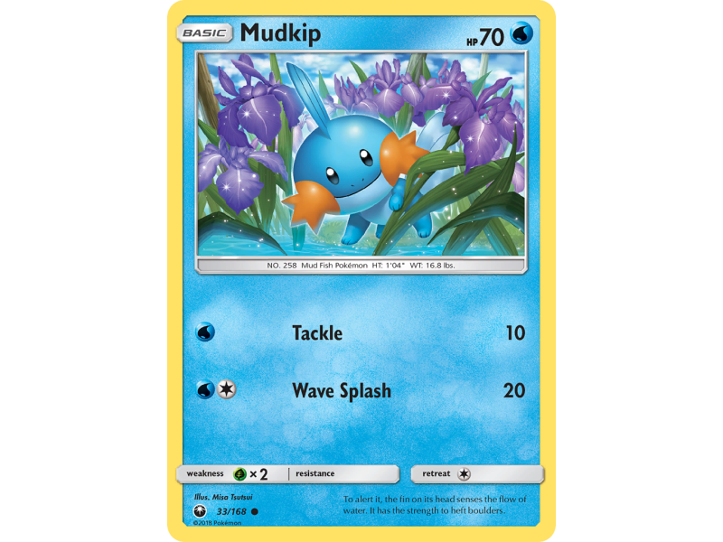 Mudkip