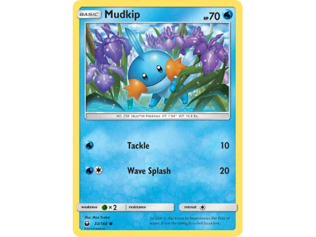 Mudkip