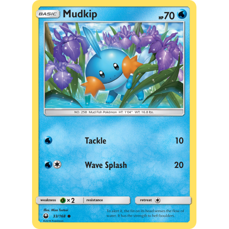 Mudkip (Reverse Holo)