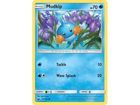 Mudkip (Reverse Holo)