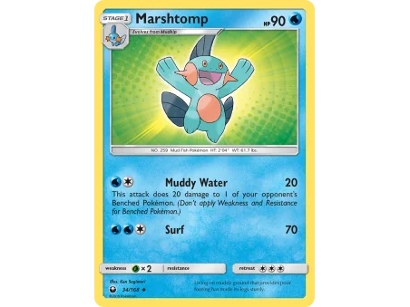 Marshtomp (Reverse Holo)