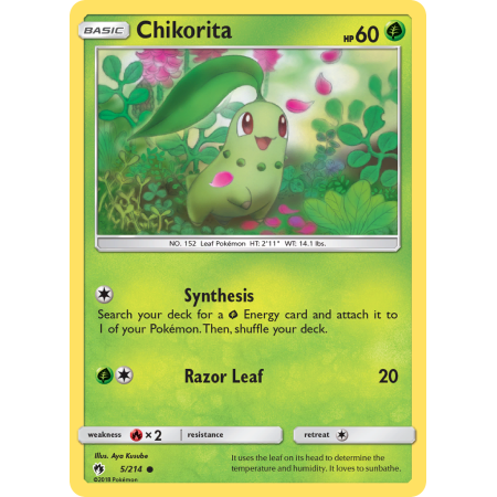 Chikorita