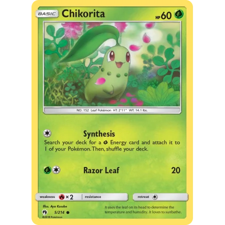 Chikorita