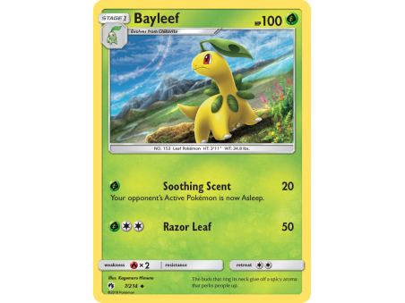 Bayleef