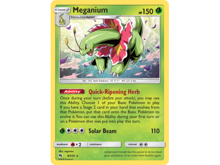 Meganium (Holo)