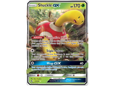 Shuckle-GX (Holo)
