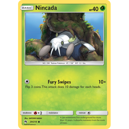 Nincada