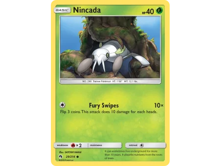 Nincada