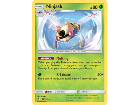 Ninjask