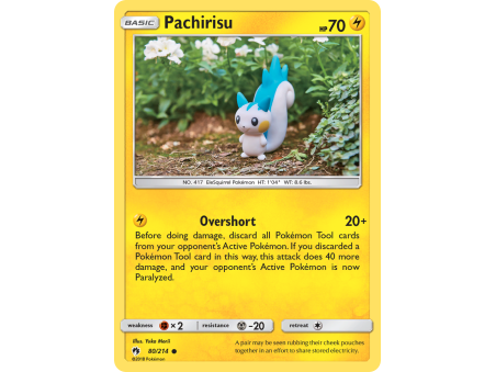Pachirisu