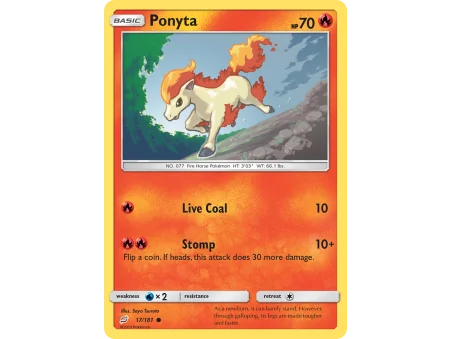Ponyta