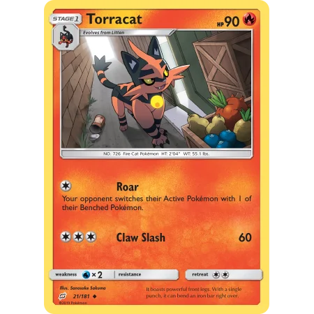 Torracat