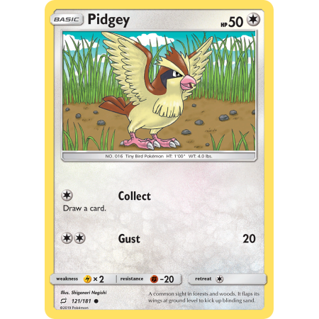 Pidgey