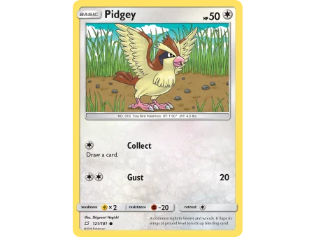 Pidgey