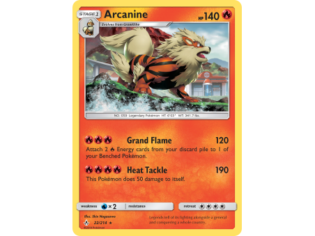 Arcanine (Reverse Holo)