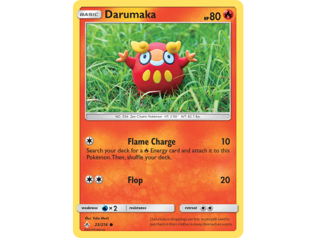 Darumaka