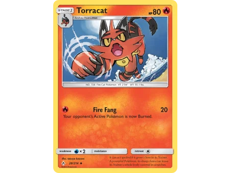 Torracat