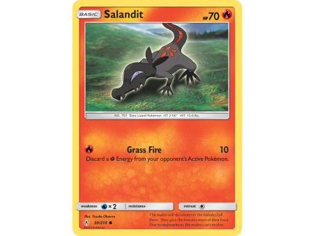 Salandit